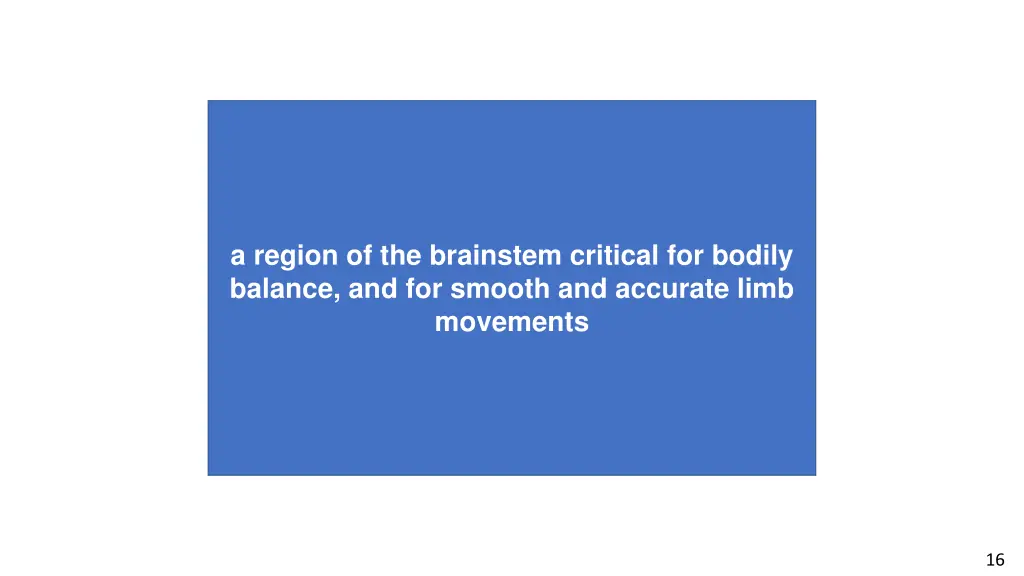 a region of the brainstem critical for bodily