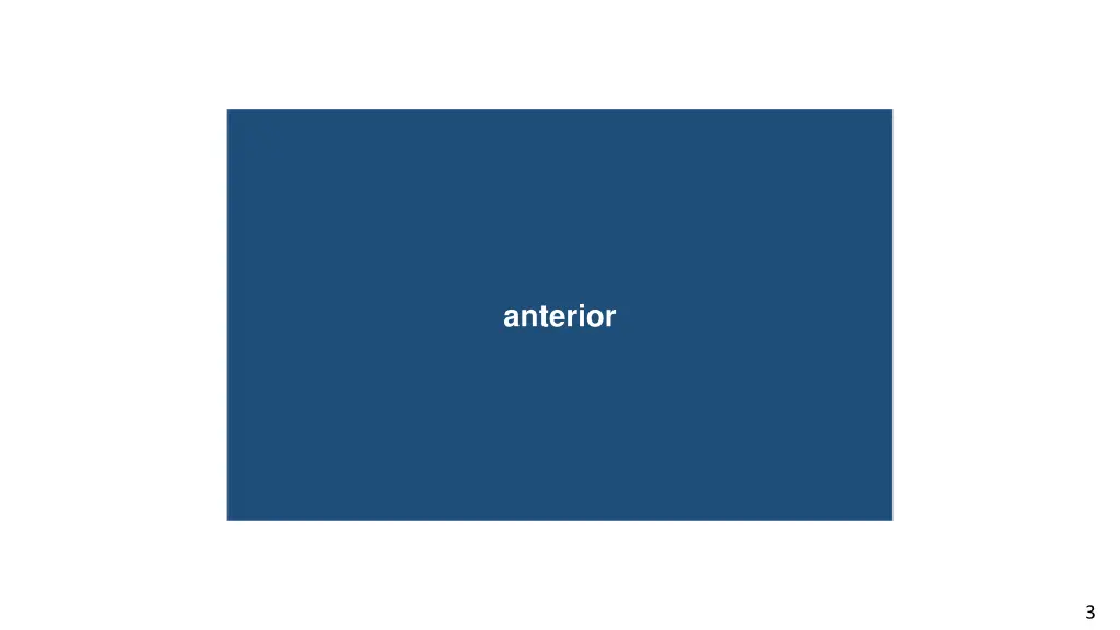 anterior