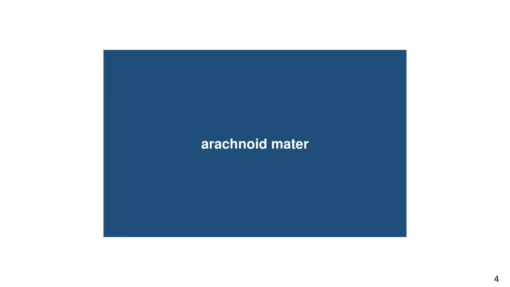 arachnoid mater
