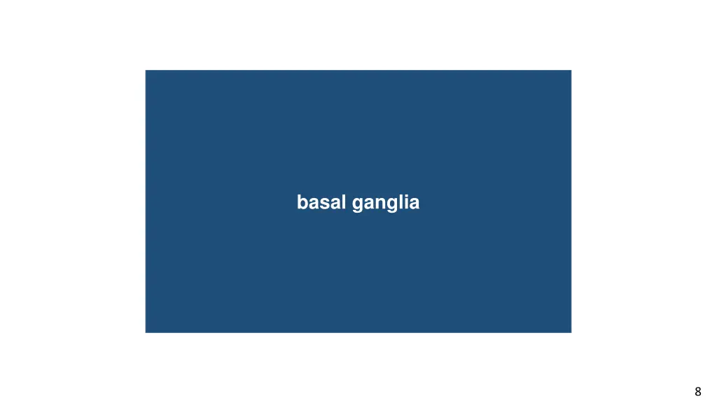 basal ganglia