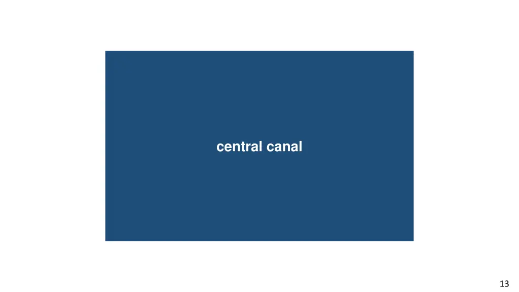 central canal