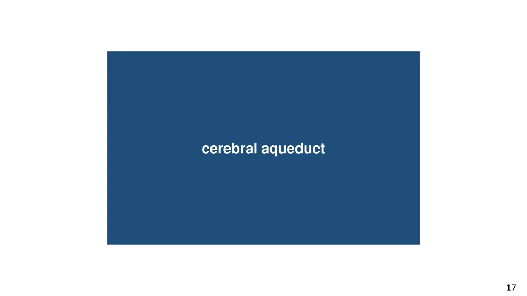 cerebral aqueduct