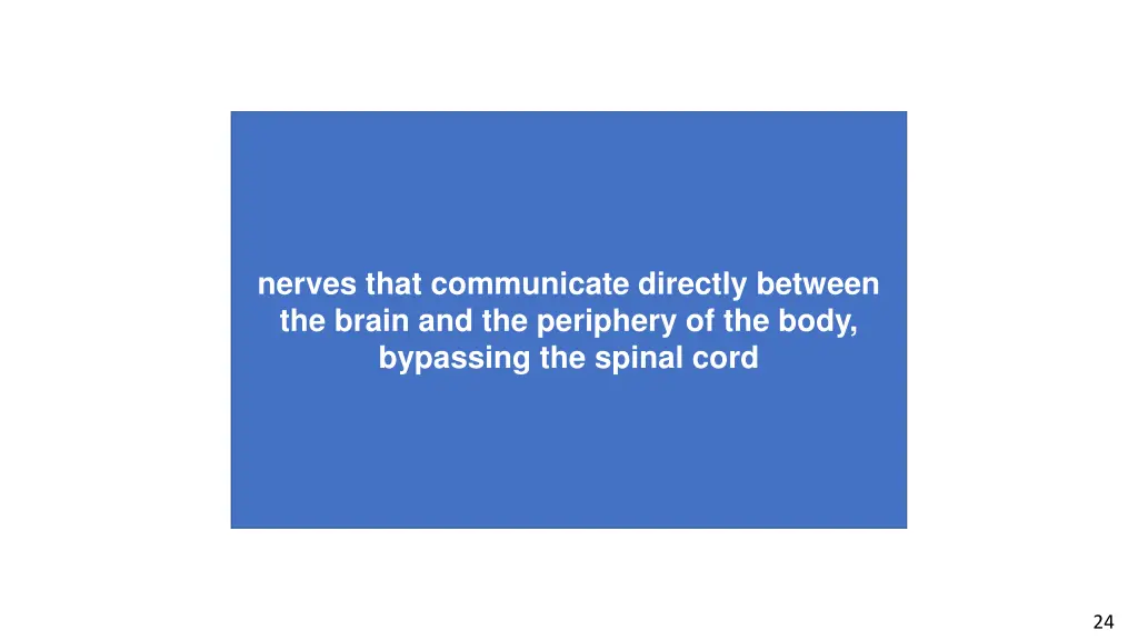 nerves that communicate directly between