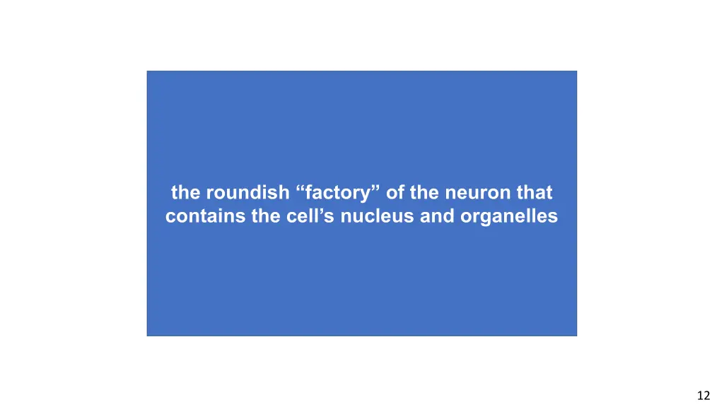 the roundish factory of the neuron that contains