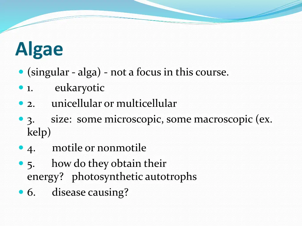 algae