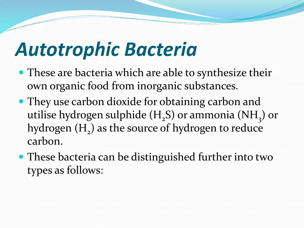 autotrophic bacteria