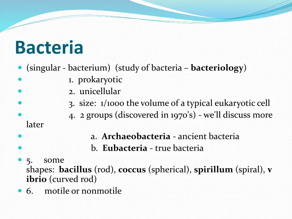 bacteria