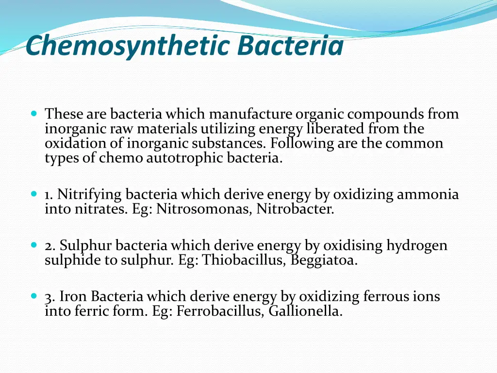 chemosynthetic bacteria