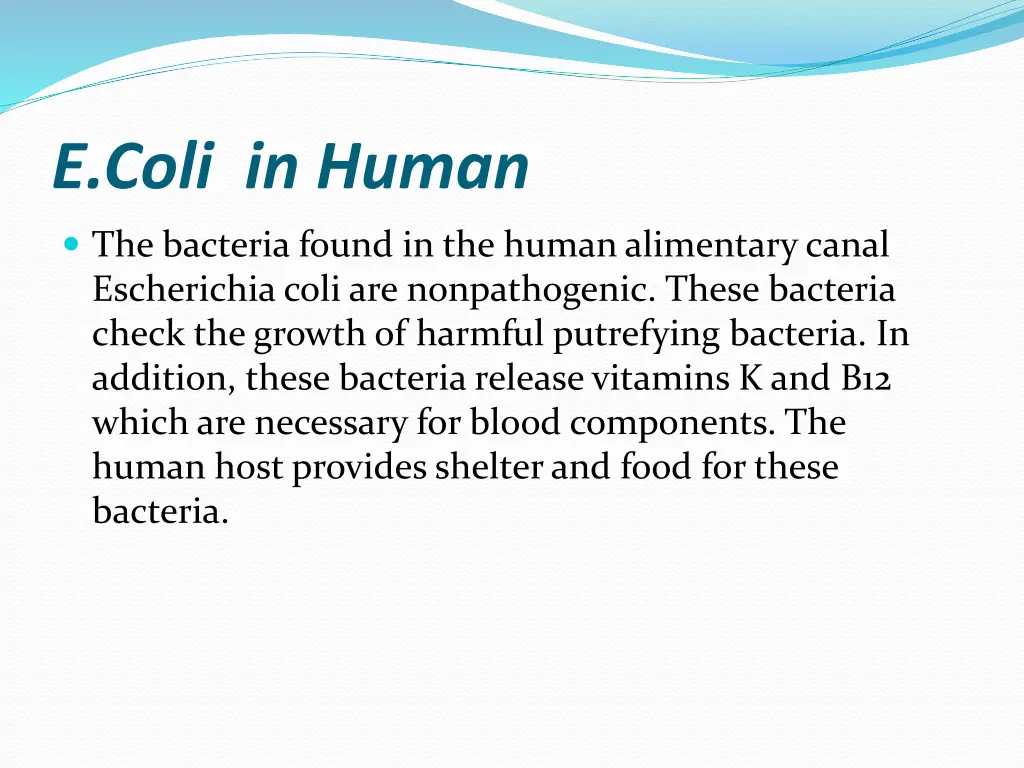 e coli in human