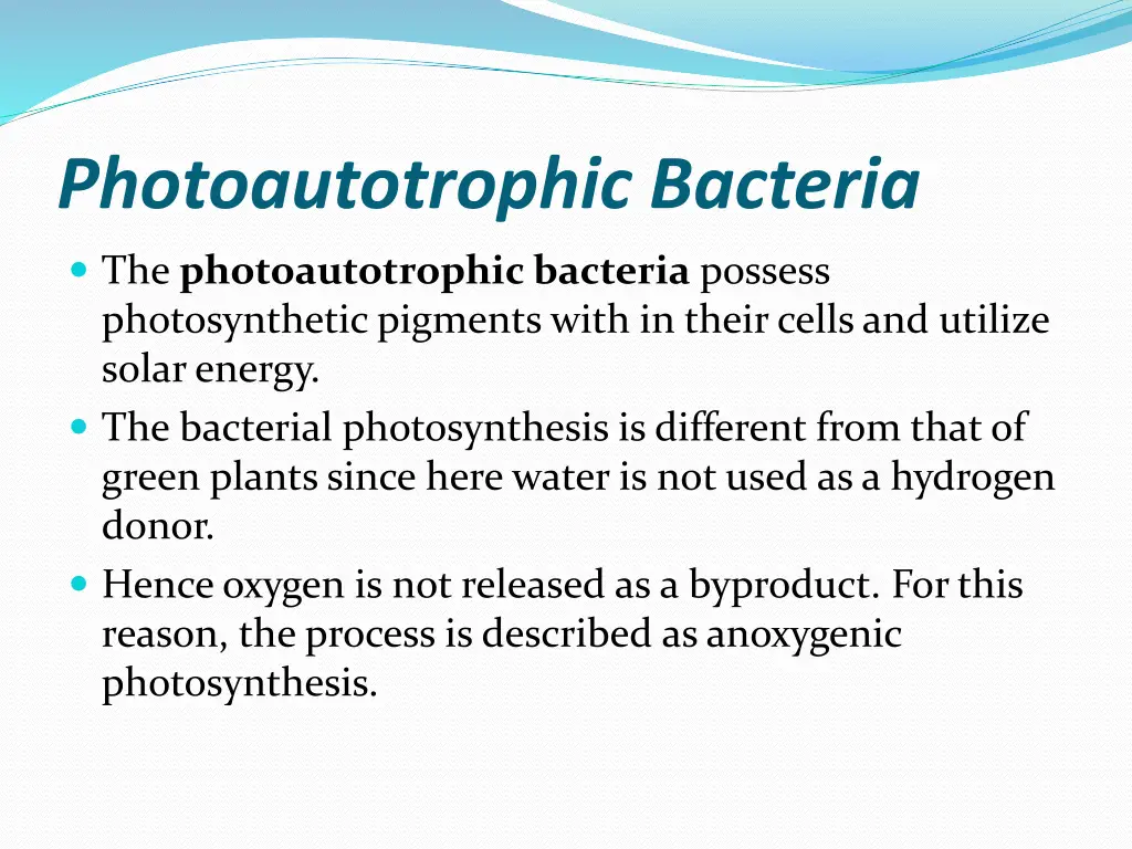 photoautotrophic bacteria