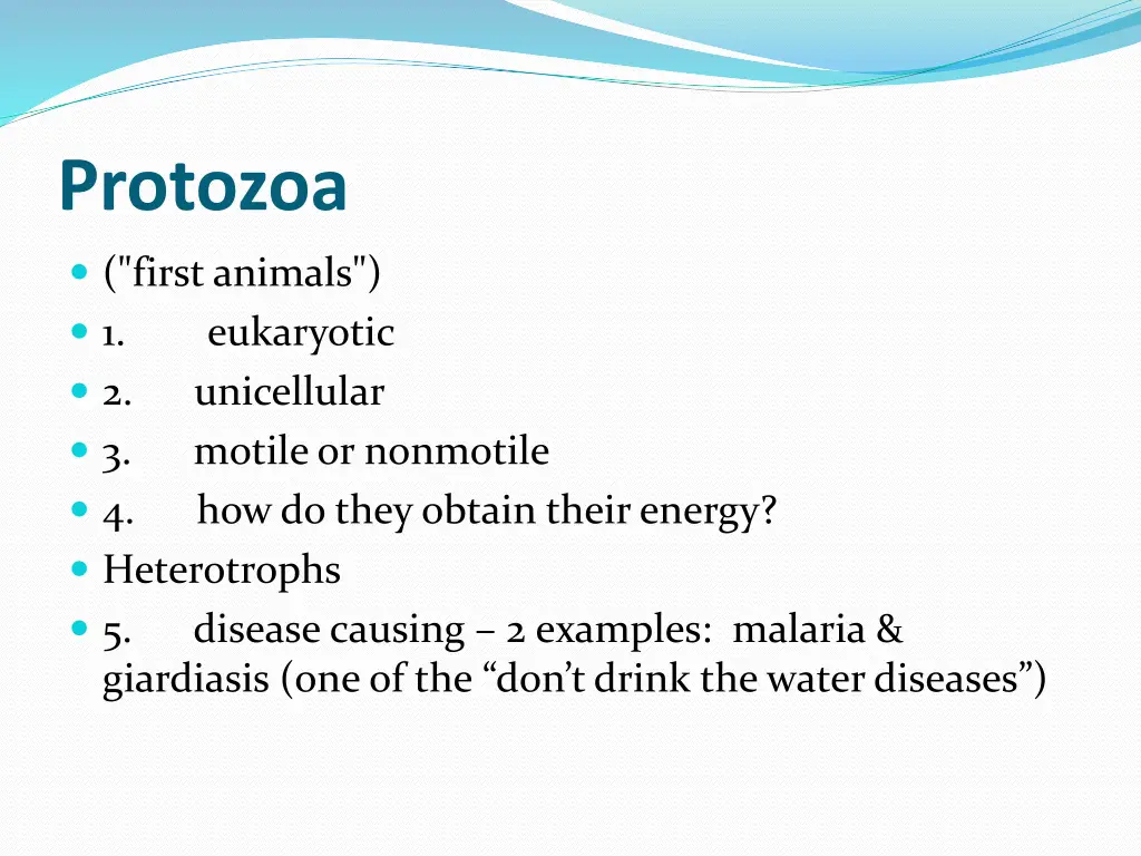 protozoa