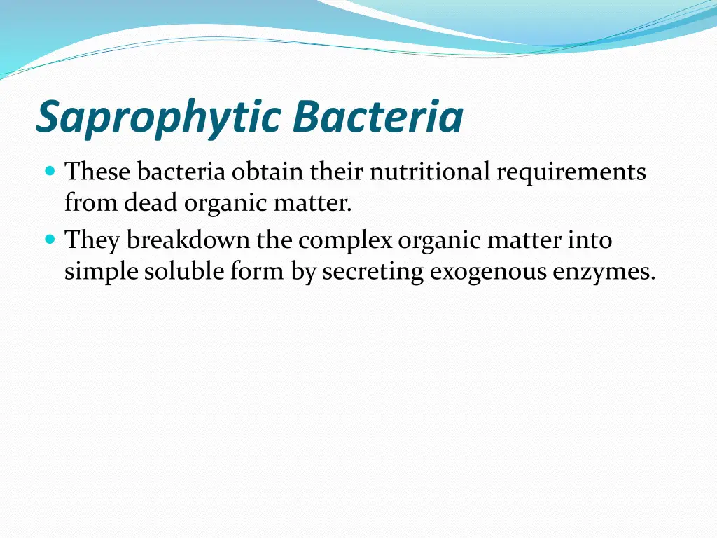 saprophytic bacteria