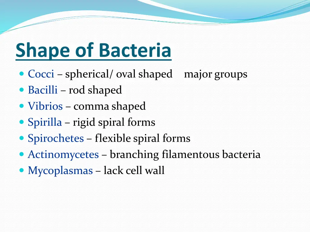 shape of bacteria