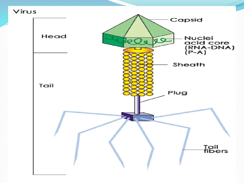 slide36