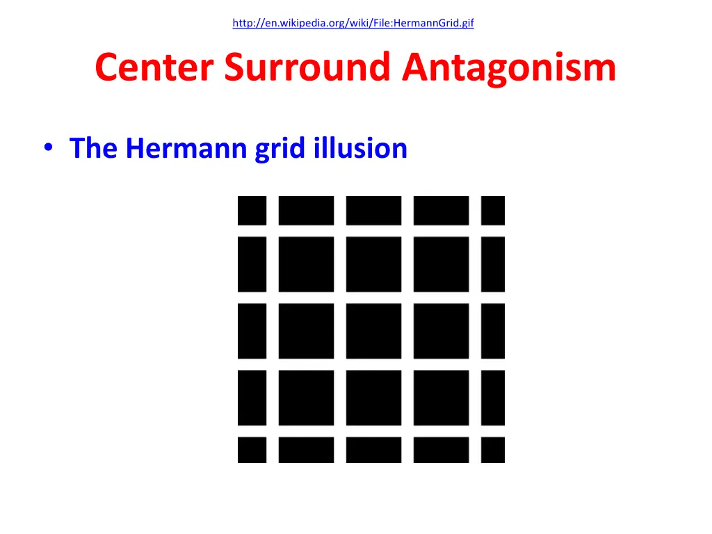 http en wikipedia org wiki file hermanngrid gif