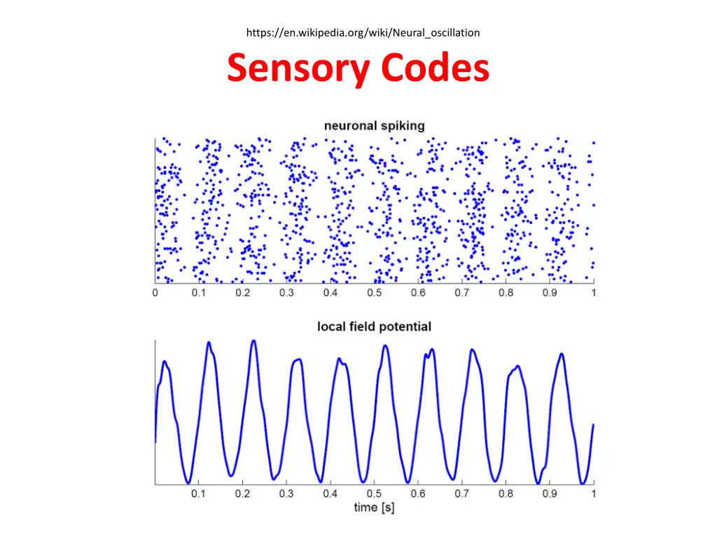 https en wikipedia org wiki neural oscillation