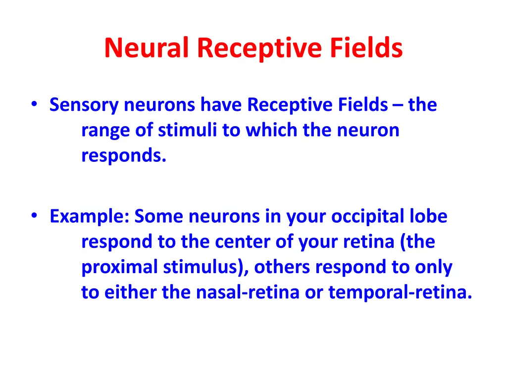 neural receptive fields