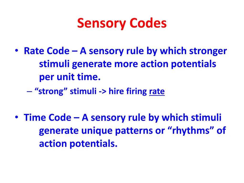 sensory codes 1