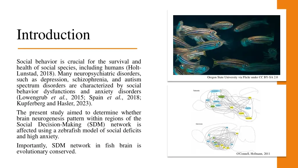 introduction