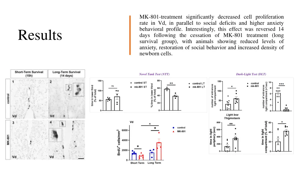 mk 801 treatment significantly decreased cell