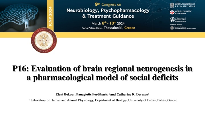 p16 evaluation of brain regional neurogenesis