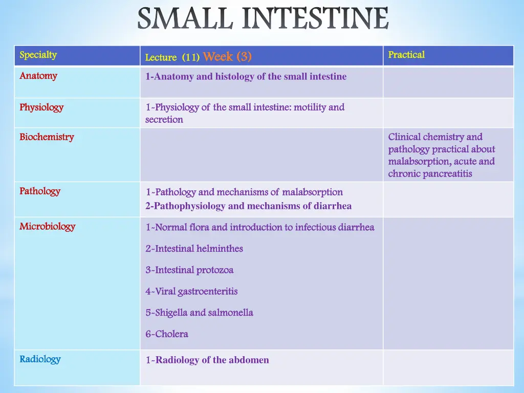 small intestine small intestine