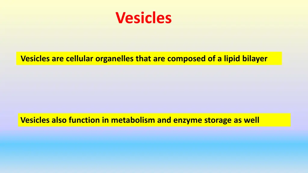 vesicles
