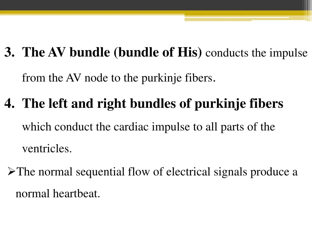 3 the av bundle bundle of his conducts the impulse