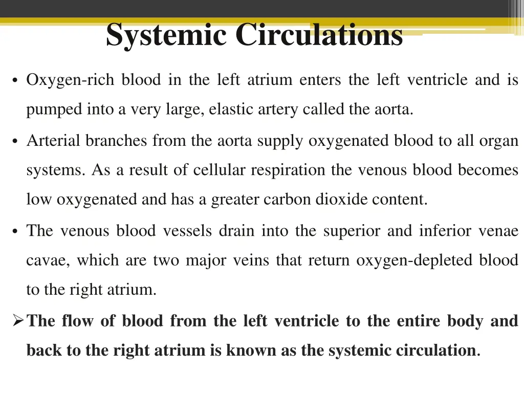 systemic circulations