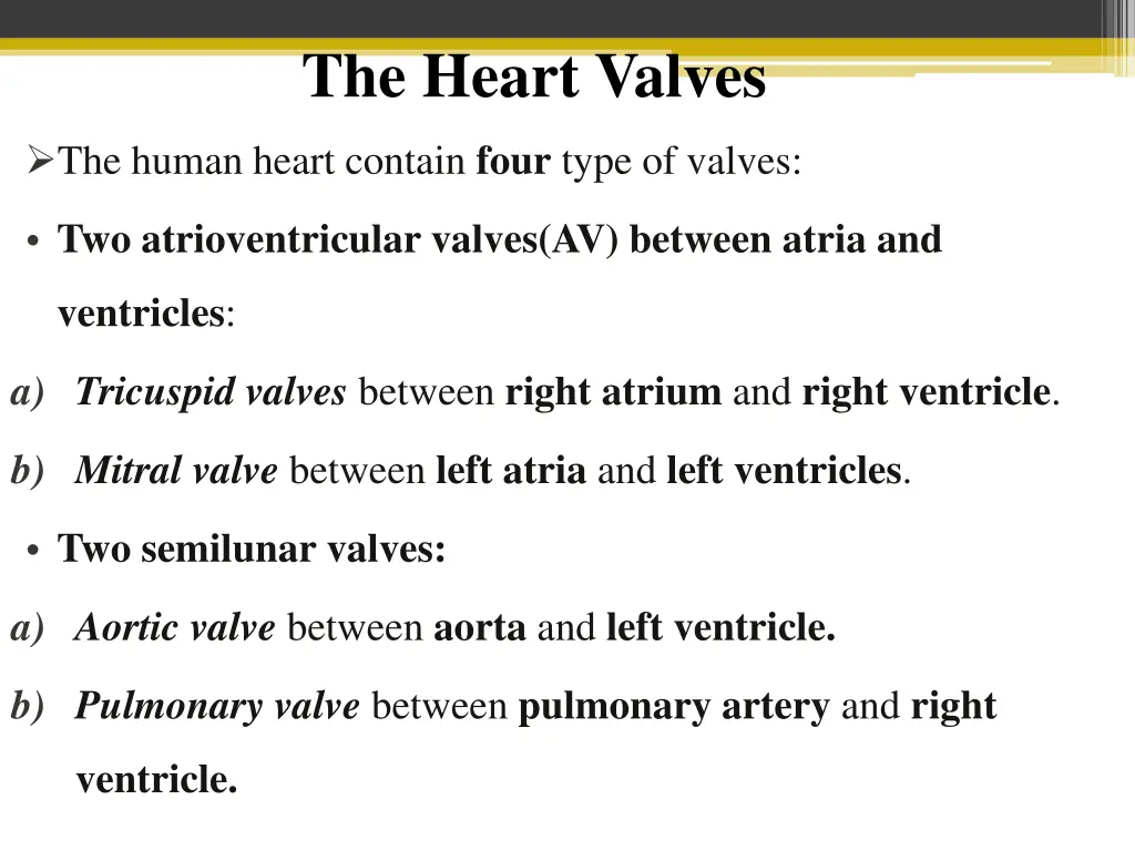 the heart valves