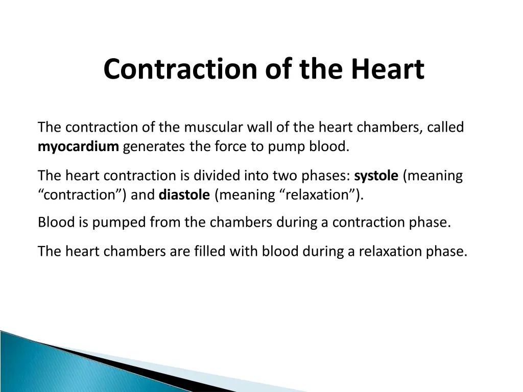 contraction of the heart
