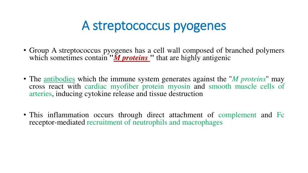 a streptococcus a streptococcus pyogenes