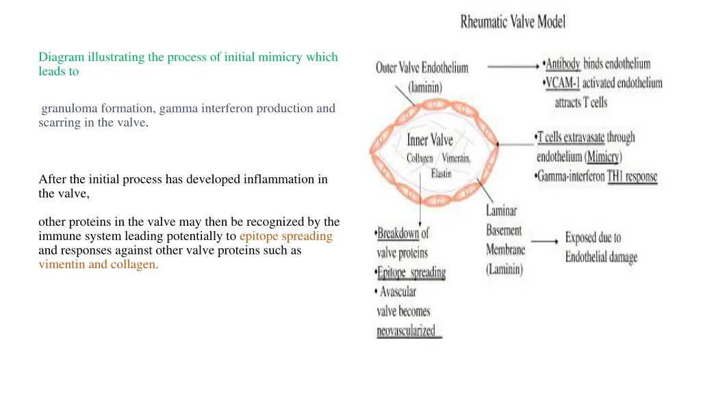 diagram illustrating the process of initial