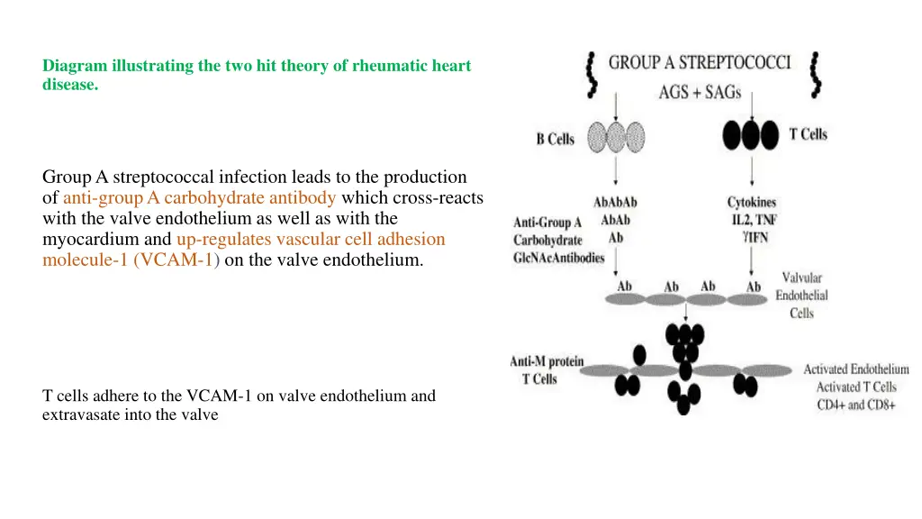 diagram illustrating the two hit theory
