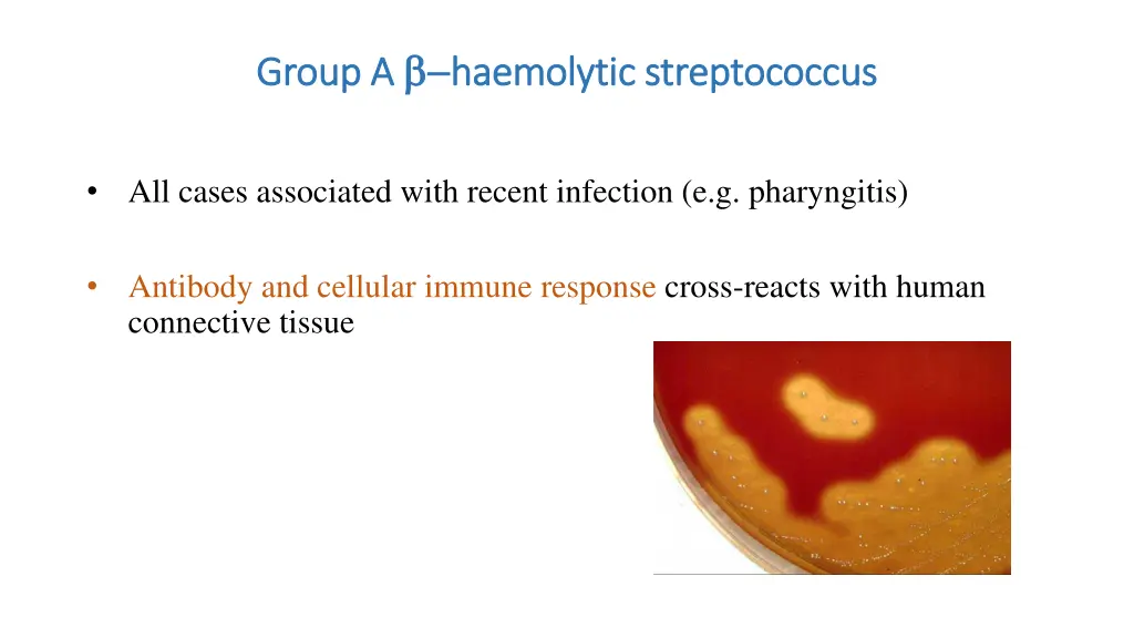 group a group a haemolytic streptococcus