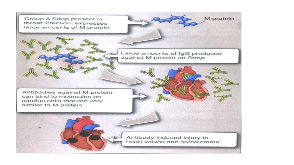 slide13