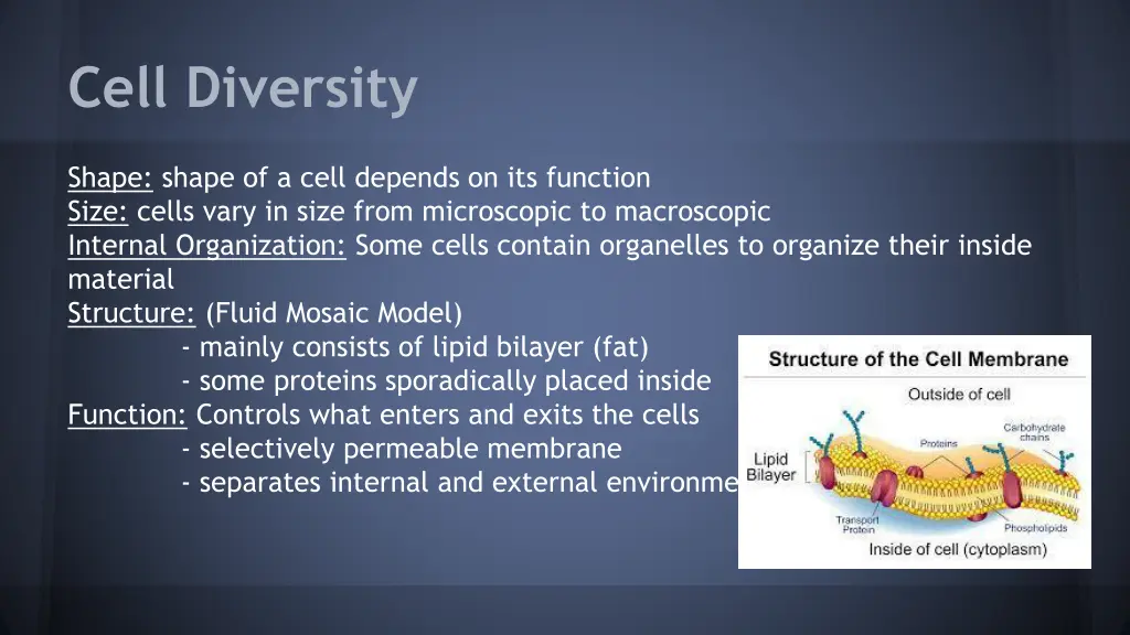 cell diversity