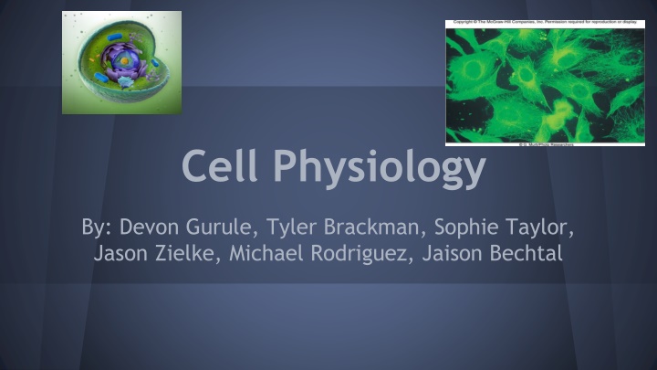 cell physiology