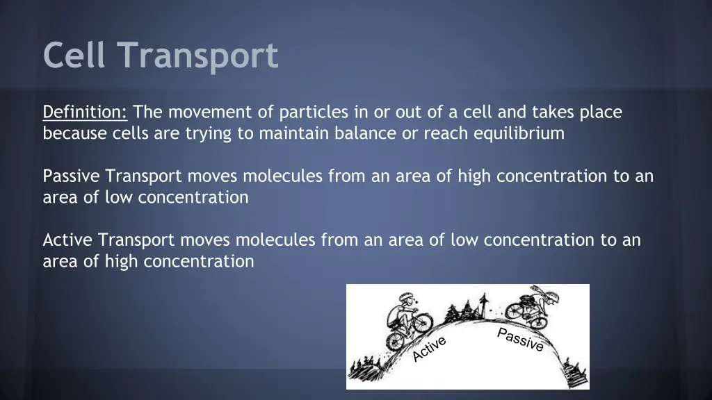 cell transport
