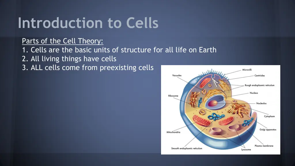 introduction to cells