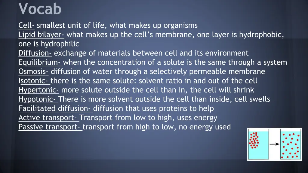 vocab cell smallest unit of life what makes