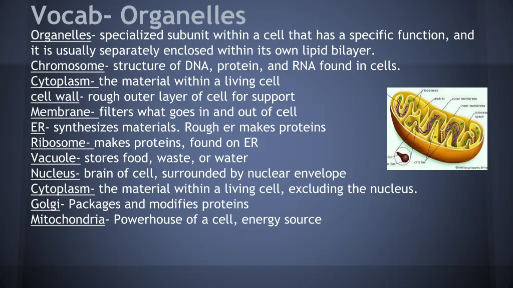 vocab organelles organelles specialized subunit