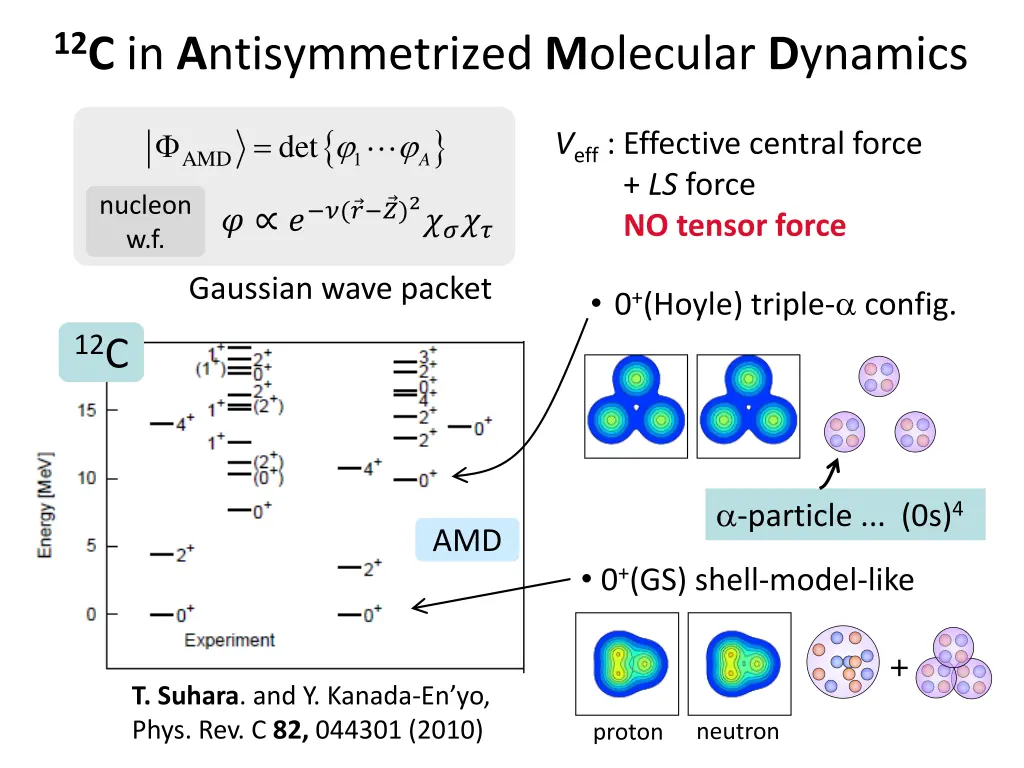 12 c in a ntisymmetrized m olecular d ynamics