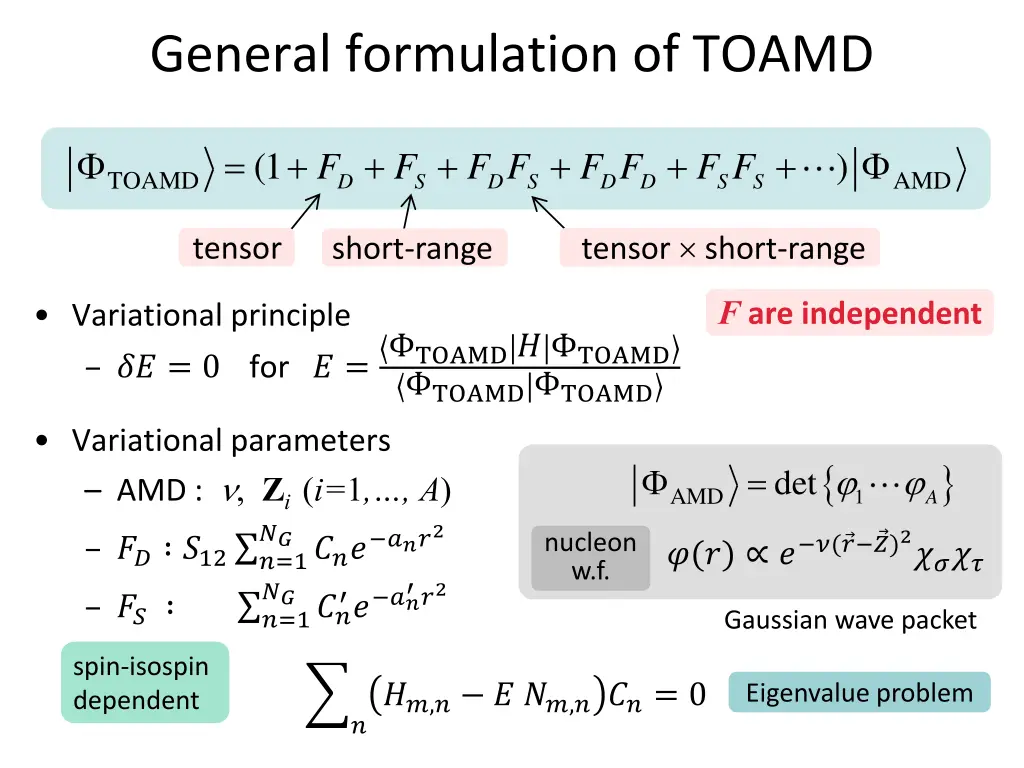 general formulation of toamd
