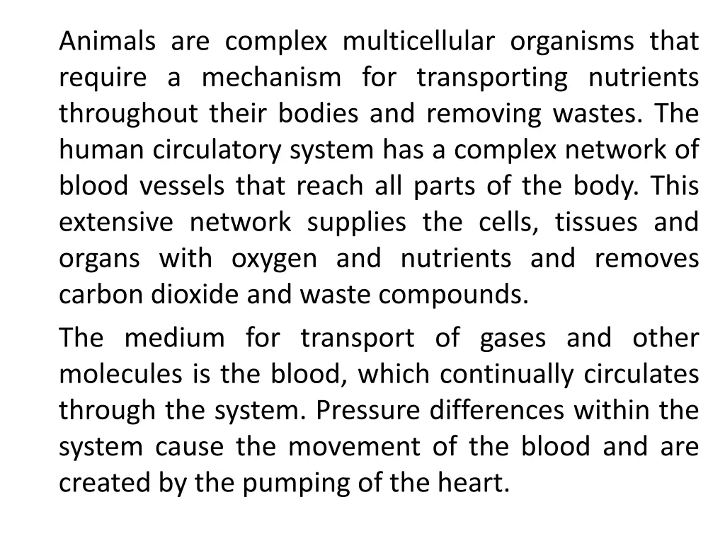 animals are complex multicellular organisms that