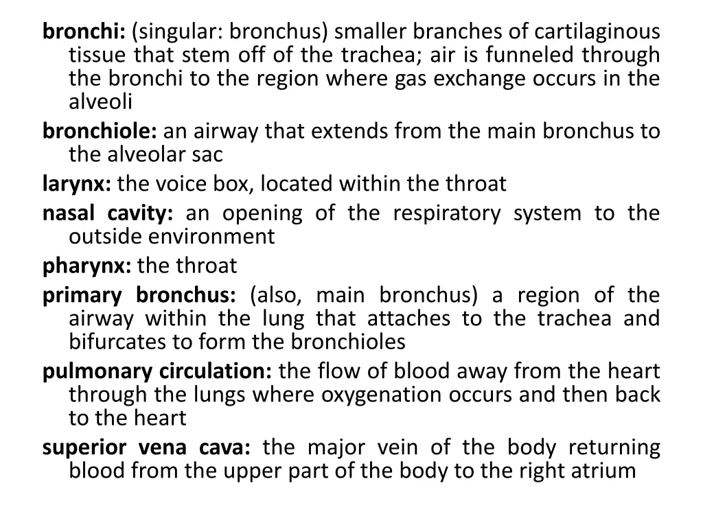 bronchi singular bronchus smaller branches