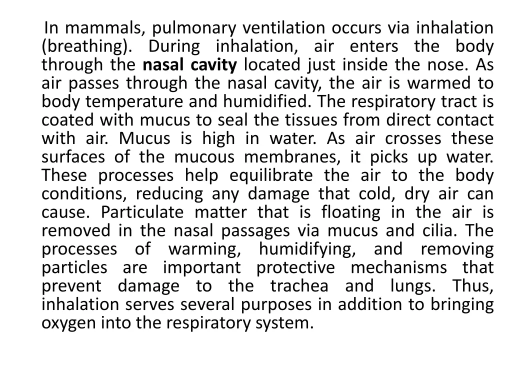 in mammals pulmonary ventilation occurs