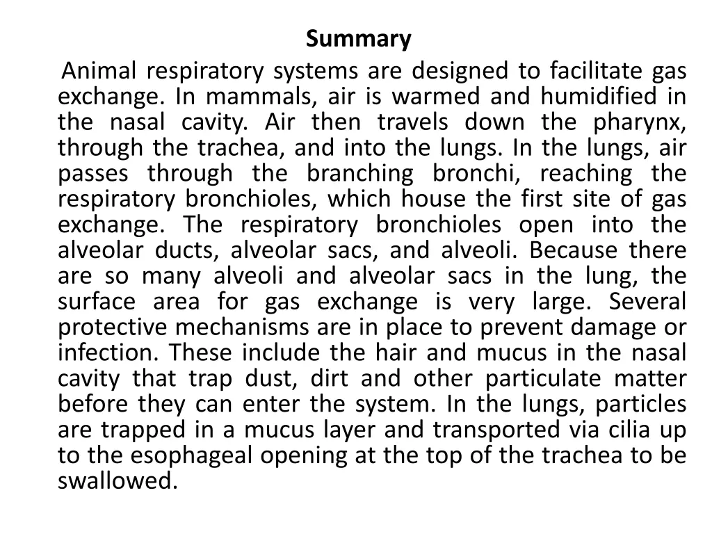 summary