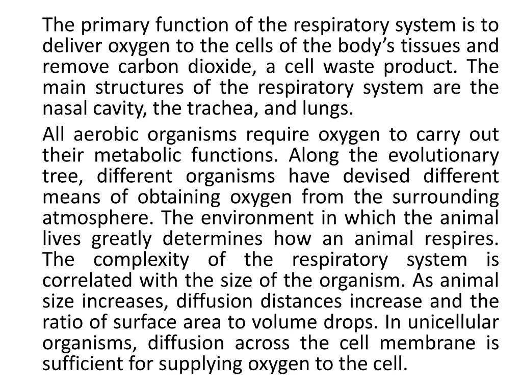 the primary function of the respiratory system