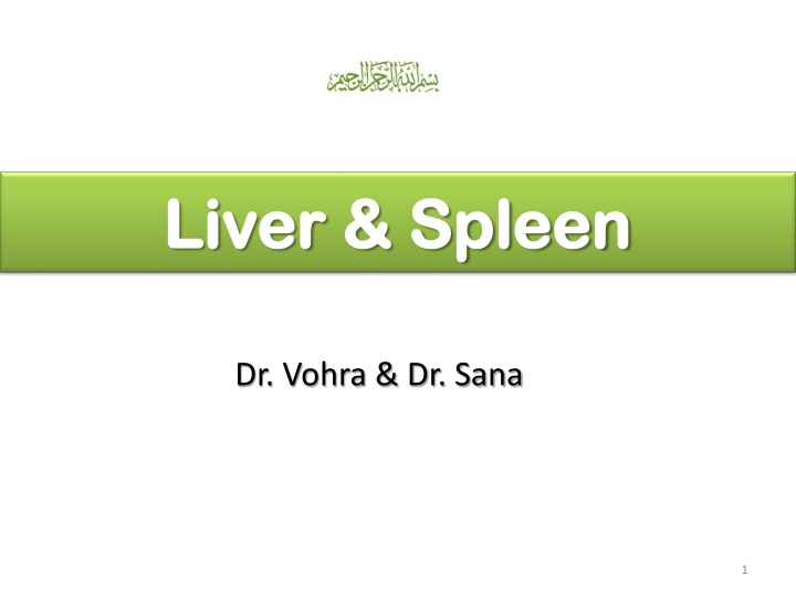 liver spleen liver spleen